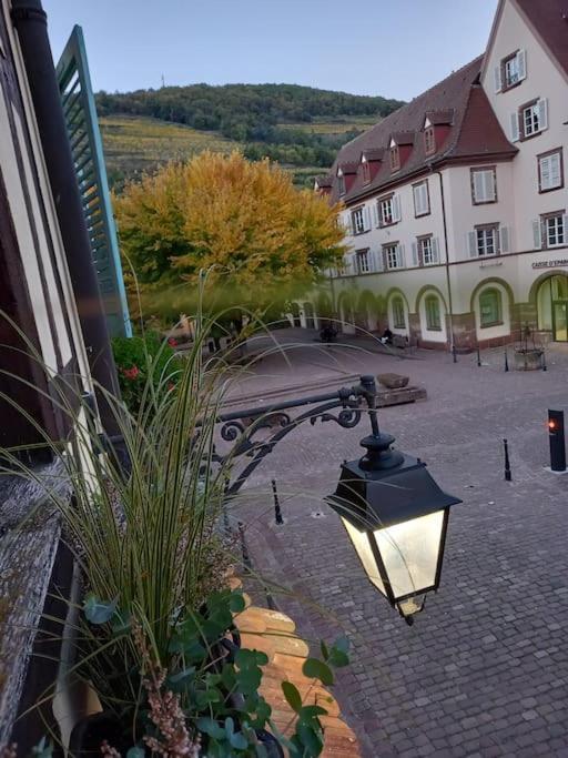 S'Gleina Gleck, In The Heart Of A Wine City, Charmant Studio 1 Piece Et 1 Salle De Bain 凯泽贝尔 外观 照片
