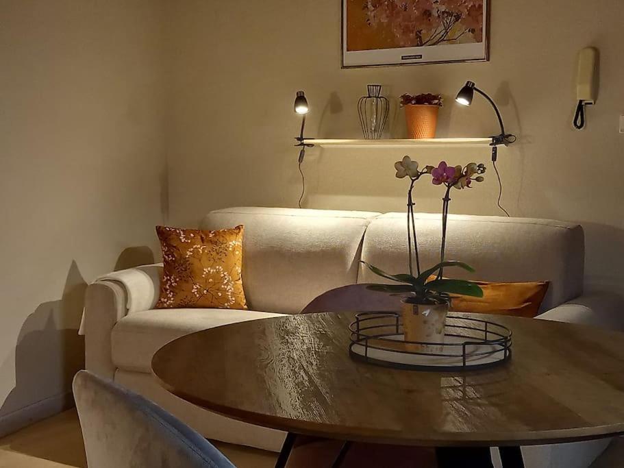S'Gleina Gleck, In The Heart Of A Wine City, Charmant Studio 1 Piece Et 1 Salle De Bain 凯泽贝尔 外观 照片