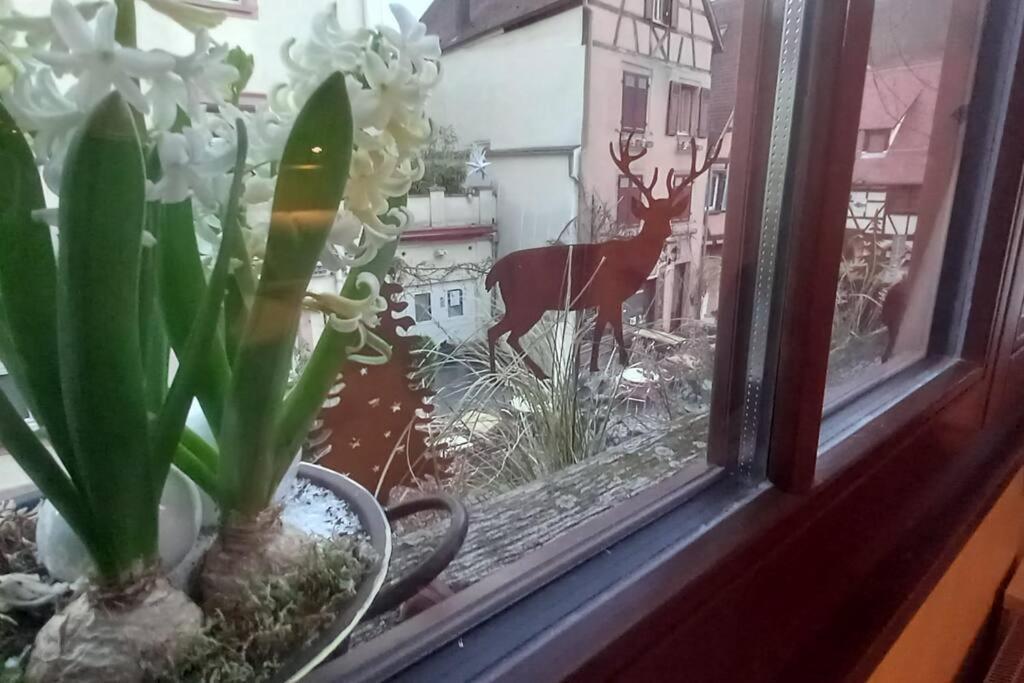 S'Gleina Gleck, In The Heart Of A Wine City, Charmant Studio 1 Piece Et 1 Salle De Bain 凯泽贝尔 外观 照片